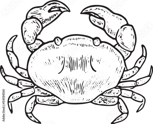 Detailed black-and-white sketch of a crab with claws and shell, perfect for seafood menus, marine decor, or culinary designs with a coastal ocean theme
