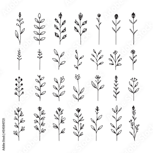 Collection of twenty four hand drawn floral silhouettes botanical illustrations silhouette
