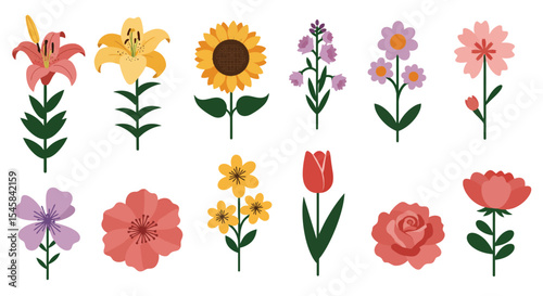 Diverse Hand-Drawn Botanical Flower Set with Dandelions, Sunflowers,  Daisies, Lilies, Daffodils, and Irises etc. 