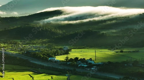 Aerial Panorama Drone Picture of Beautiful rice fields at sunrise, Chihshang Township, Taiwan