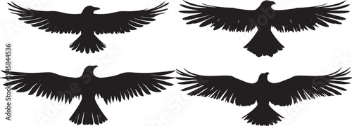 Majestic Eagle Silhouettes with Spread Wings – Vector Set
Black and White Hawk and Eagle Tattoo Designs
Flying Predator Birds – Monochrome Falcon Illustrations