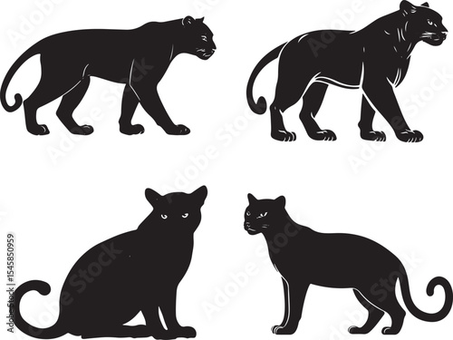 Panther Silhouettes in Motion – Black Big Cat Vector Set
Wild Cat Walking Poses – Black and White Panther Illustration
Majestic Jungle Predator Silhouettes – Panther and Leopard Vectors