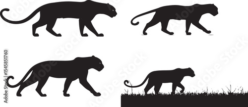 Panther Silhouettes in Motion – Black Big Cat Vector Set
Wild Cat Walking Poses – Black and White Panther Illustration
Majestic Jungle Predator Silhouettes – Panther and Leopard Vectors