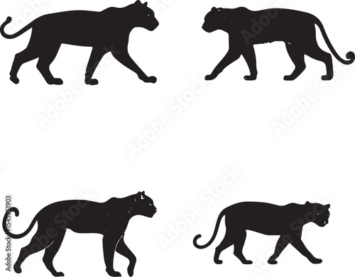 Panther Silhouettes in Motion – Black Big Cat Vector Set
Wild Cat Walking Poses – Black and White Panther Illustration
Majestic Jungle Predator Silhouettes – Panther and Leopard Vectors