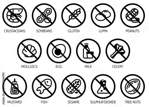 Free from food allergen allergy icons. Include big 8 FDA Major Allergens and 14 food allergies from the EU Food Information for Consumers Regulation EFSA European Food Safety Authority Annex II