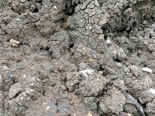Картината върху платно Dried excavated silt soil becomes beautiful