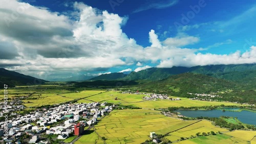 Aerial view of Beautiful rice fields, Chihshang Township, Taiwan
