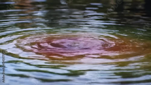 Ripples radiate outwards on multicolored water surface