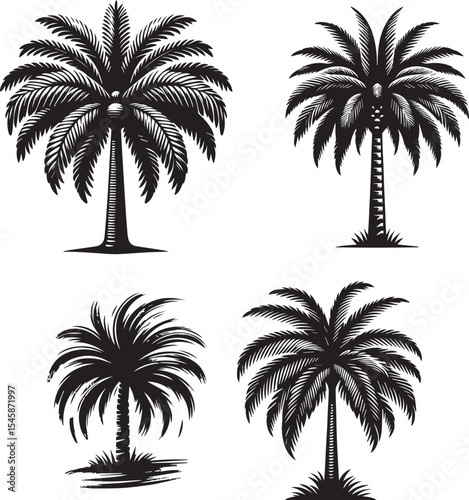 palm tree vectors and  logo style design illustration