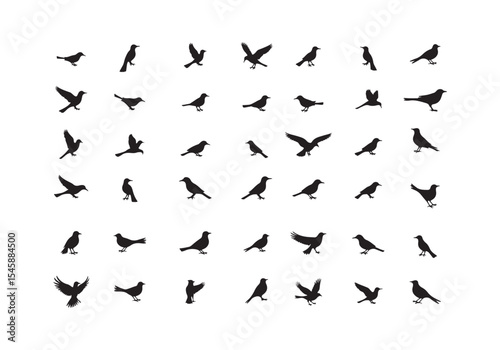 Silhouette collection of various birds in different poses on a clean white background