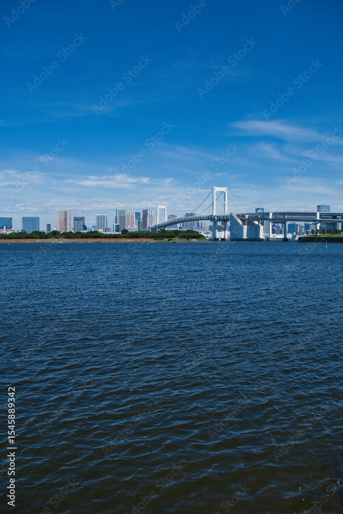 Fototapeta premium お台場海浜の風景