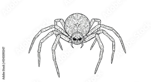 Spider With Florals – Animal Coloring Page Design	