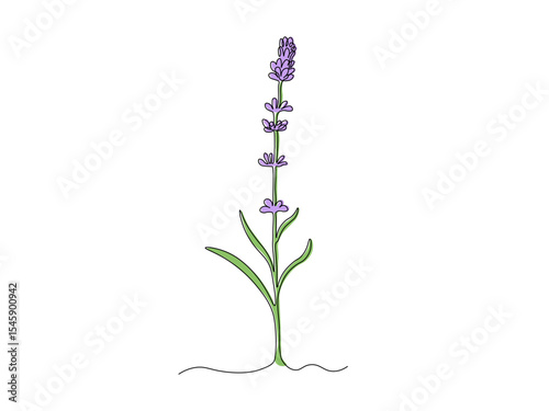 Abstract lavender flower twig, continuous single one line art drawing sketch, logo