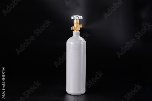 A CO2 tank for an aquarium with plants.
