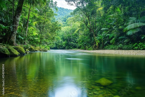Lush riverbank surrounded by dense greenery in Daintree Rainforest during a tranquil afternoon, Tropical nature of Daintree Rainforest national park Mossman Gorge river stream