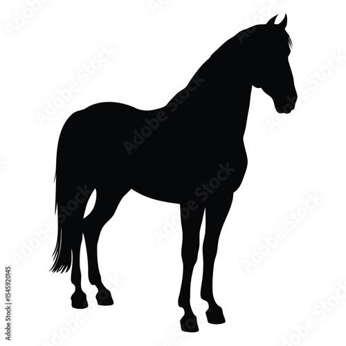 Black and White Horse Standing Silhouette Image