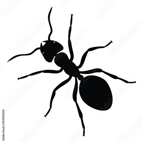 Ant Vector Silhouette Isolated on White Background