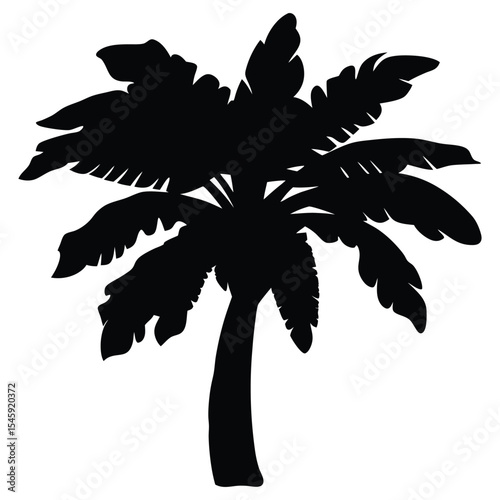 Palm Tree Silhouette Vector of Banana Tree