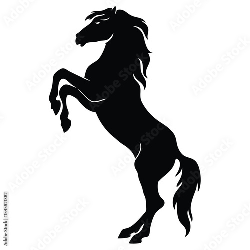 Stunning Horse Rearing Up Black White Silhouette Image