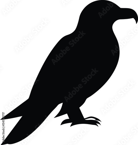 Crow Minimal Geometric Vector Logo Design Art