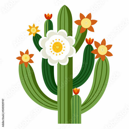 narcissus and daffodil