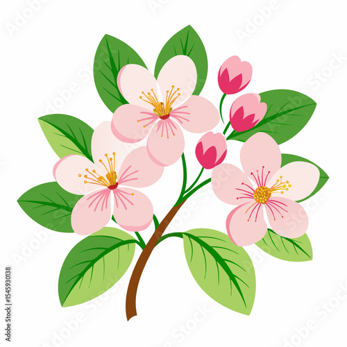 pink flower isolated on white