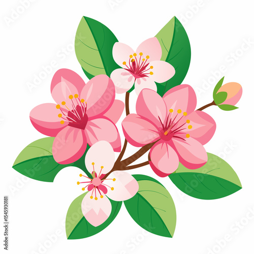 pink lily flower