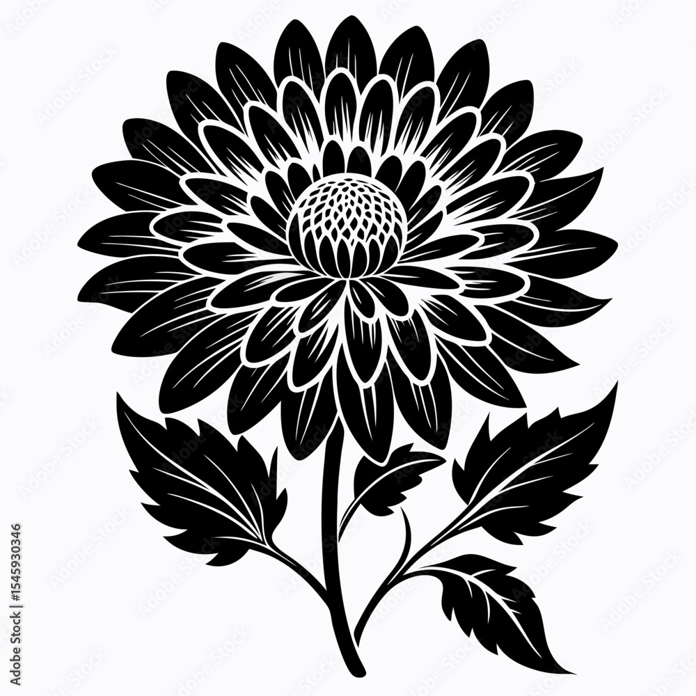 black and white flowers black and white flowers