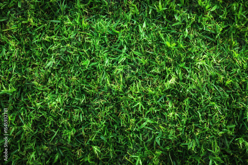 Lush, vibrant green grass lawn fills image, showcasing healthy, dense blades. texture and color suggest well maintained garden or park, evoking sense of freshness and tranquility