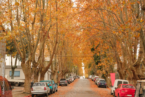 Tableau sur toile Picturesque autumn scene in Colonia del Sacramento, Uruguay, a quaint UNESCO colonial city popular with tourists