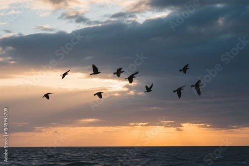 Silhouette of Bird Flying Over Stormy Sea