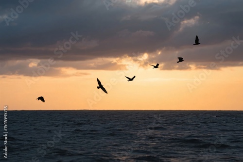 Silhouette of Bird Flying Over Stormy Sea