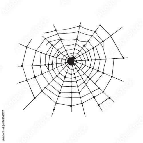 Intricate Spiderweb Design  A Detailed Illustration of a Circular Web
