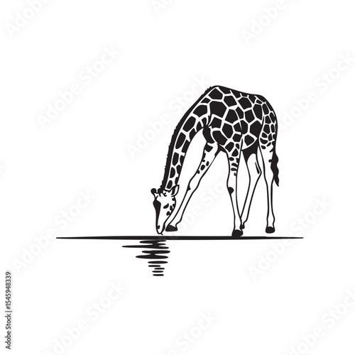 Elegant Giraffe Illustration Drinking and Reflection