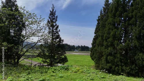 空撮　5月の田園風景　日本