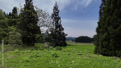 空撮　5月の田園風景　日本