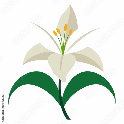 Elegant white lily flower with green leaves illustration