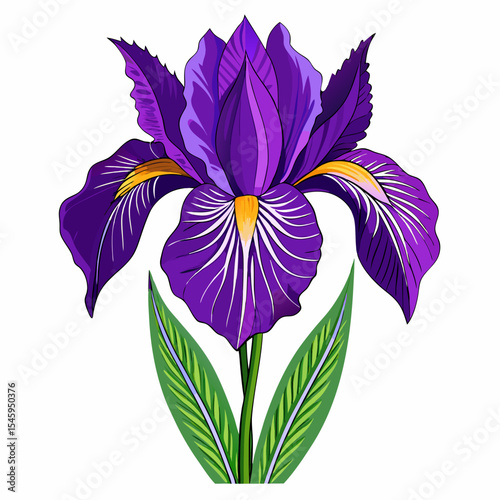 Vibrant purple iris flower with detailed petals and leaves