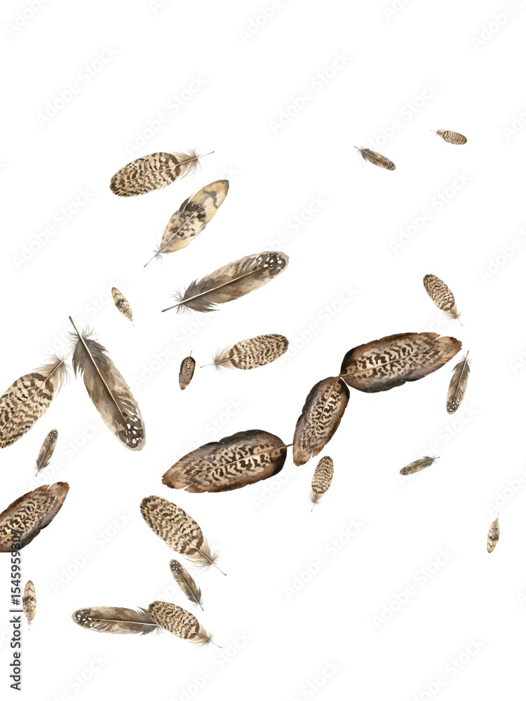 Obraz premium Adobe Illustrator Artwork