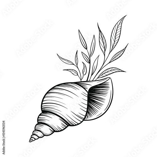 Elegant Seashell with Plant Sketch Black and White Illustration