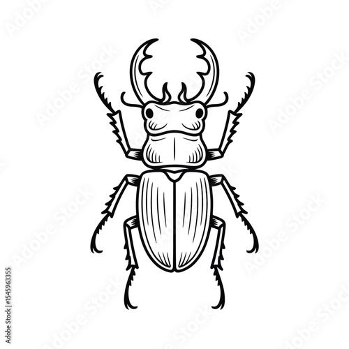 Detailed Stag Beetle Line Art Illustration on White Background