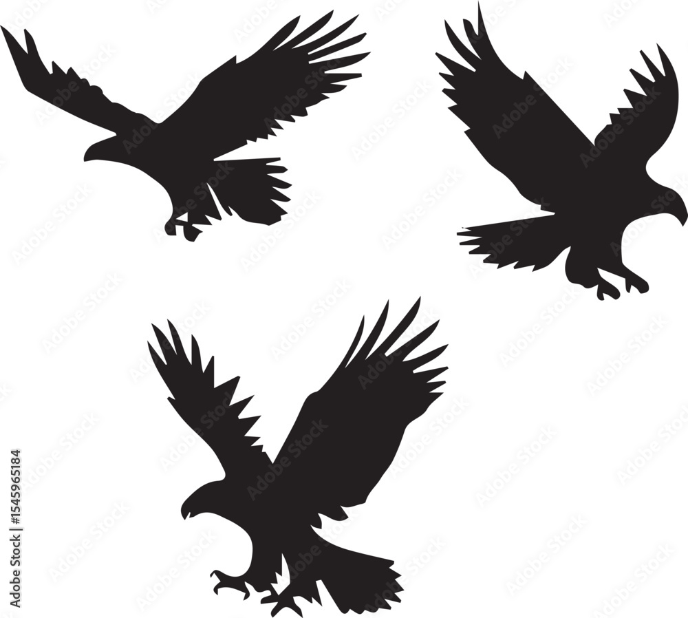 Fototapeta premium eagle vector illustration