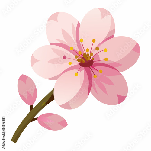 Pink almond blossom flower branch illustration