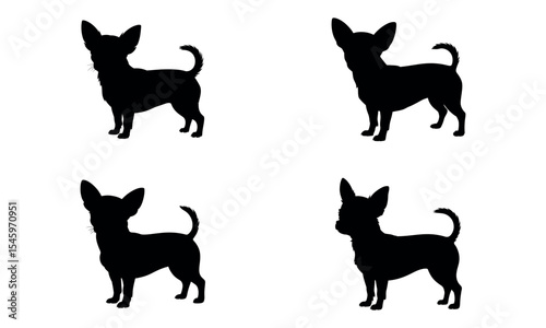 Black chihuahua dog silhouettes in different standing poses isolated on white
