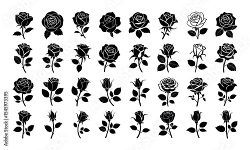 Collection of black rose flower silhouettes with different blooming stages in vector style
