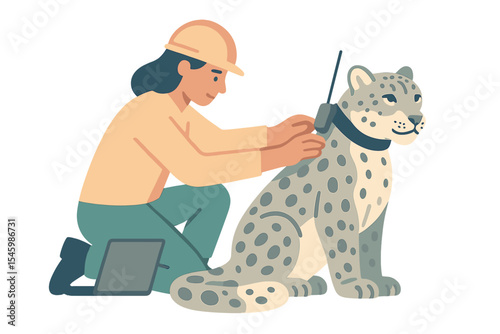 Wildlife conservationist attaching a tracking collar to a snow leopard in a research project