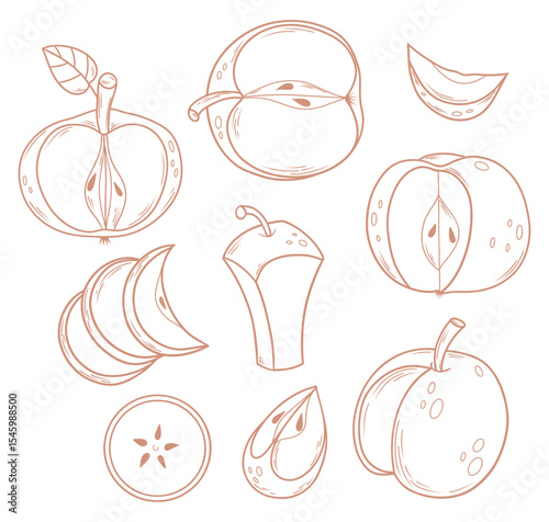 Outline Apples collection. Fruit cut, slice, half and piece. Linear hand drawings. Isolated food elements on white background. Vector illustration. Coloring Page, design, decoration and decor