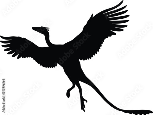 Feathered Archaeopteryx Silhouette: A Delicate Outline of the Early Bird-Dinosaur Hybrid in Flight, Ideal for Showing Evolutionary Links on White Background.