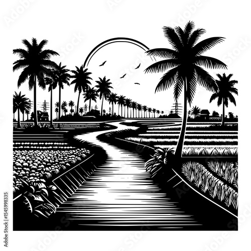 Tropical rice paddy fields with palm trees and irrigation canal