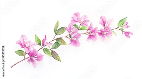 A botanical illustration featuring delicate pink flowers and green leaves of a bougainvillea branch on a white background, suitable for print and design purposes, is presented in a watercolor style
